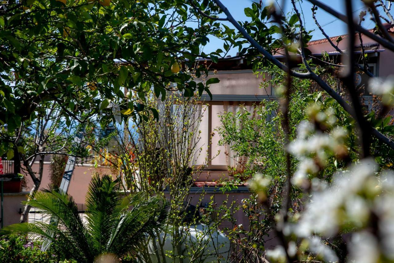 Villa Panoramica Terracina Bilik gambar